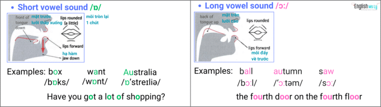 Ipa 20 Example Học bảng IPA - 20 nguyên âm đơn và đôi - 20 english vowel sounds ...