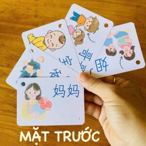300-flashcard-tieng-trung-hoc-tu-vung-tieng-trung-qua-flashcard-day-con-da-ngu-Ms-Ly.2